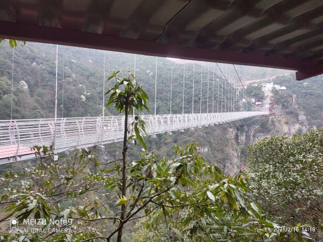 屏山悬索玻璃桥旅行图片 9