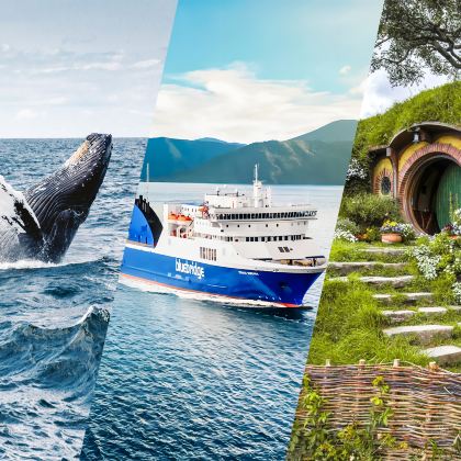 新西兰14日跟团游