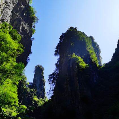 怀化+芷江+洪江古商城+通道皇都侗民族文化村+通道芋头古侗寨+黔阳古城5日4晚私家团