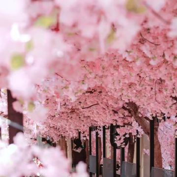 日本大阪+京都+奈良市6日5晚拼小团