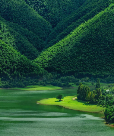 3D2N • China + Huzhou + Anji