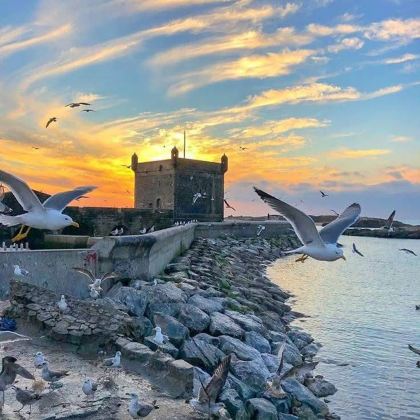 摩洛哥9日8晚私家团