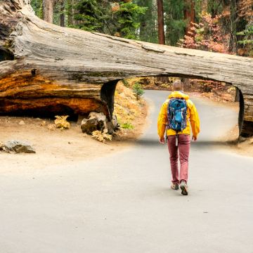 美国优胜美地国家公园+美洲杉和国王峡谷国家公园2日1晚跟团游