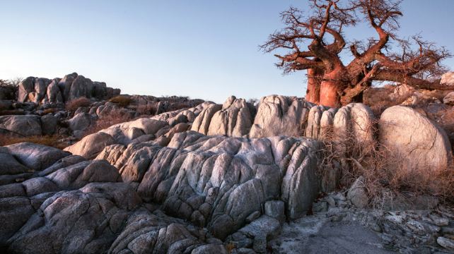 18-Day Cape Town to Victoria Falls Adventure Tour·Lambert's Bay, Orange River, Fish River Canyon, Keetmanshoop, Namib Desert, Swakopmund, Etosha National Park