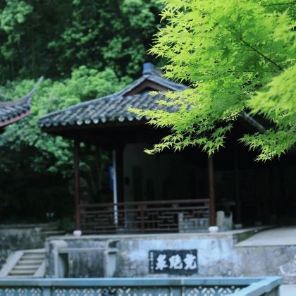 历史人文·杭州5日冬令营研学【水韵杭州·科创解码】阿里巴巴全球总部+浙江大学（玉泉校区）+良渚博物院，京杭大运河博物馆，中国湿地博物馆+六和塔，虎跑公园，西湖