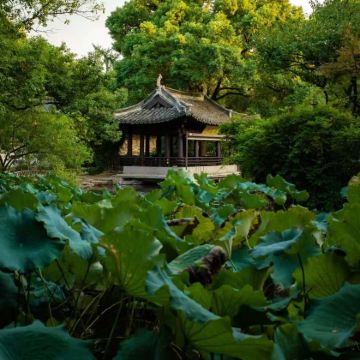 杭州+绍兴+横店影视城6日5晚私家团