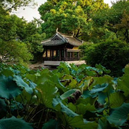 杭州+绍兴+横店影视城6日5晚私家团