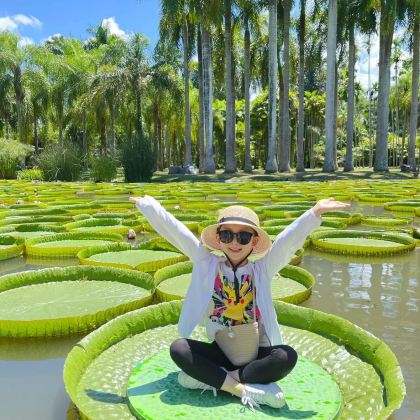 普洱+西双版纳+景迈山5日4晚私家团