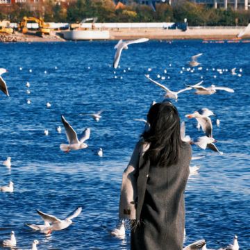 青岛+威海+烟台6日5晚私家团