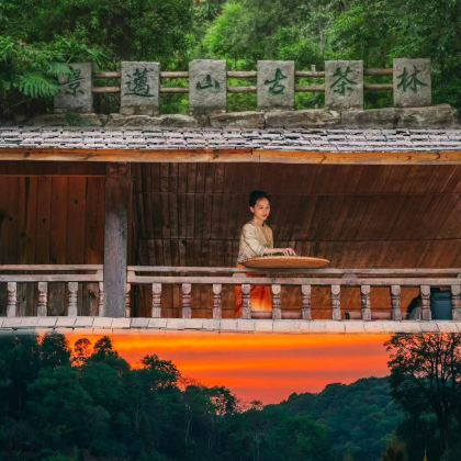 普洱+澜沧景迈山+翁基布朗族老寨4日3晚拼小团