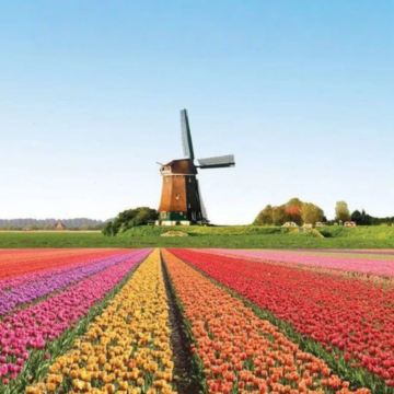 荷兰+比利时+德国12日跟团游