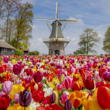 德国+法国+瑞士+意大利12日跟团游