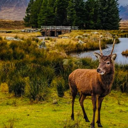 英国伦敦+剑桥+温德米尔+爱丁堡+约克+苏格兰高地+天空岛+七姐妹悬崖12日11晚私家团