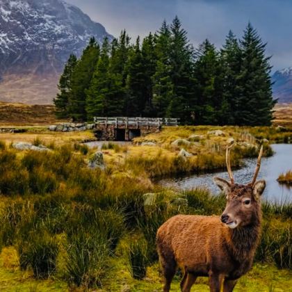 英国伦敦+剑桥+温德米尔+爱丁堡+约克+苏格兰高地+天空岛+七姐妹悬崖12日11晚私家团