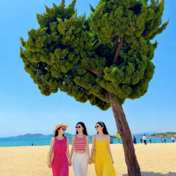 青岛+威海+烟台5日4晚私家团