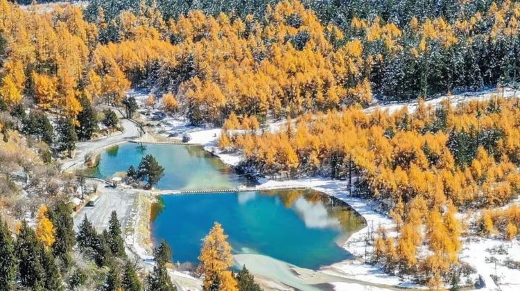 5D4N · Private Tours · Western Sichuan for Nature Lovers: Daocheng Yading, Mount Siguniang, Xinduqiao & Yuzixi - Snow Mountains, Tibetan Grasslands & Starry Skies