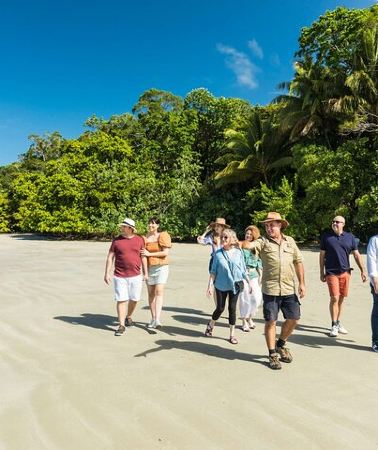 2D1N • 2 Day Great Barrier Reef, Daintree Rainforest & Cape Tribulation