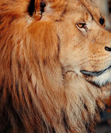 2D1N • 2 Days 1 Night Mikumi Adventure Safaris