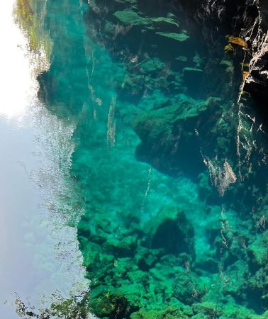 7D6N • Galapagos: Exclusive 7-Day Tour of Santa Cruz, Isabela, and Santa Fe with Snorkeling