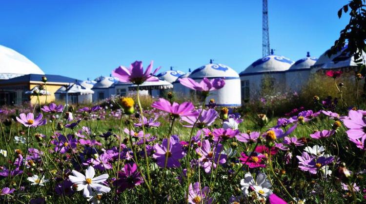 6-day 5-night · Private Tour · Hohhot + Ordos Prairie + Whistling Dune Bay + Kubuqi Desert
