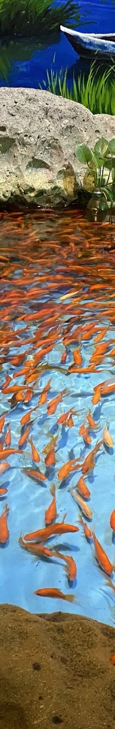 合肥海洋世界-合肥