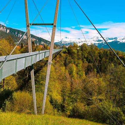 法国+瑞士+意大利14日私家团