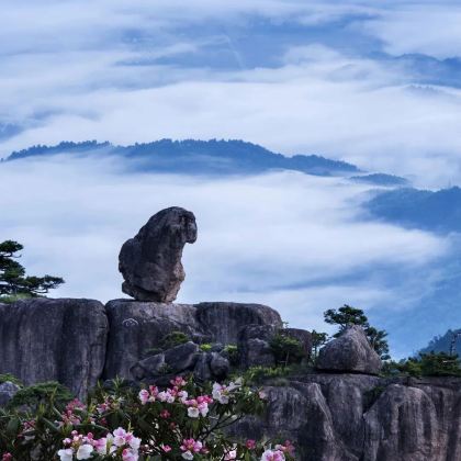 黄山风景区+婺源+千岛湖景区+宏村景区5日4晚跟团游