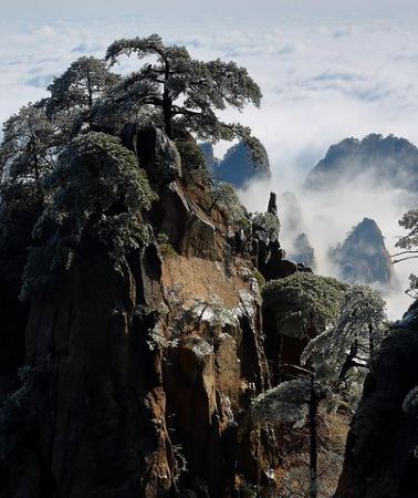 2D1N • 3D Private Trip to Huangshan,Hong village & Jingdezhen Porcelain