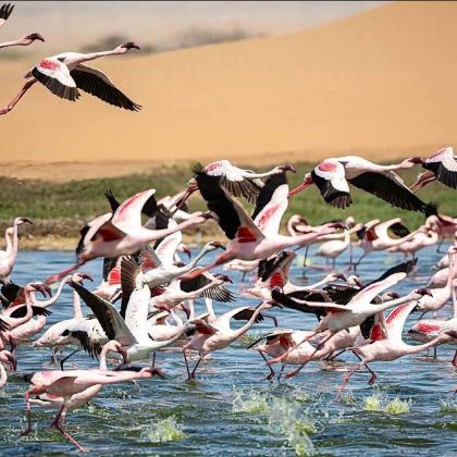 纳米比亚+埃托沙国家公园+鲸湾海滨+箭袋树森林和巨人游乐场+纳米布沙漠+辛巴红泥人部落10日9晚私家团