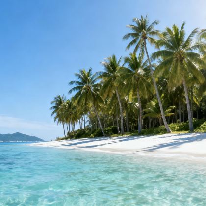 海口+文昌+琼海+万宁+陵水+三亚+东方+昌江+海花岛12日11晚私家团