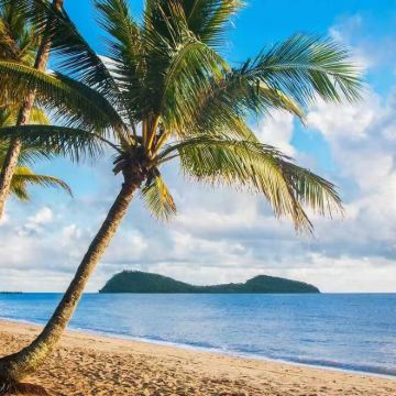 澳大利亚墨尔本+墨尔本博物馆5日4晚私家团