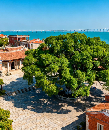 8D7N•Xiamen + Kulangsu + Quanzhou + Wuyishan + Pingtan Island