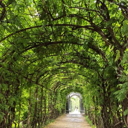 捷克+奥地利+匈牙利11日9晚私家团