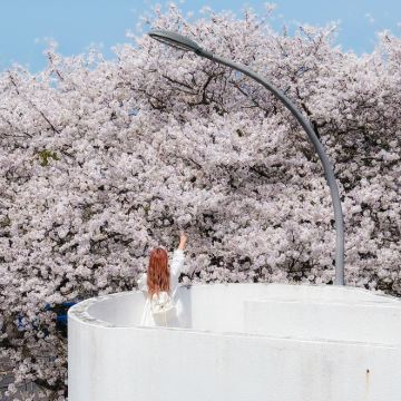 韩国济州岛5日4晚私家团