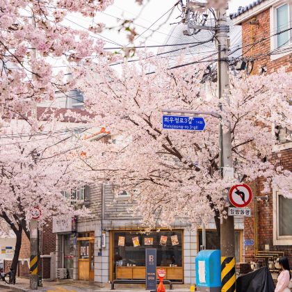 韩国首尔4日3晚私家团