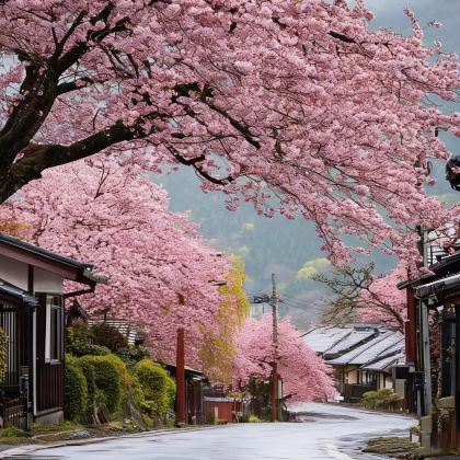 日本东京+富士山7日6晚私家团