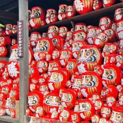 日本东京+大阪+京都+伊豆+富士山+奈良7日6晚跟团游