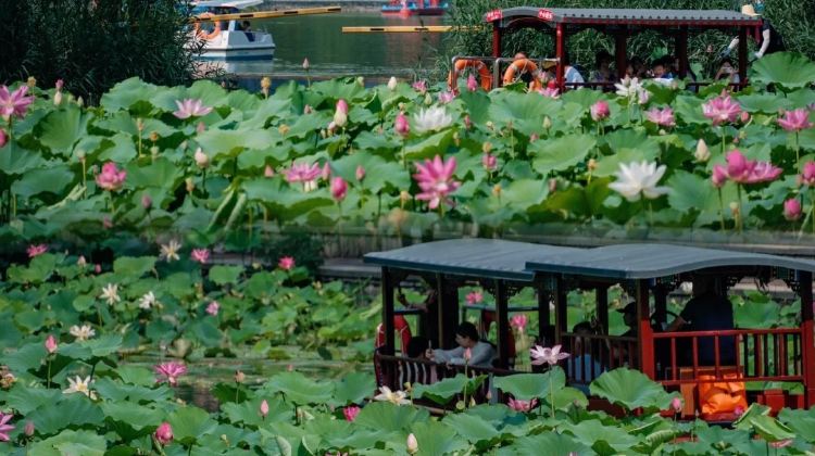 3D2N · Private Tours · Beijing + The Palace Museum + Badaling Great Wall + Temple of Heaven + Summer Palace + Red Theater