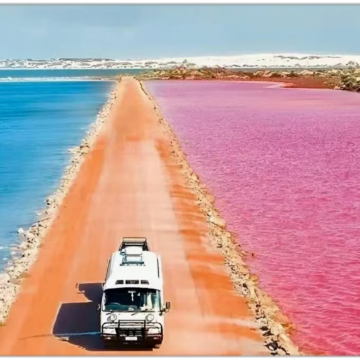 大溪地+圣诞岛+杰拉尔顿+珀斯33日29晚跟团游