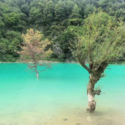 陕西汉中紫柏山国家森林公园+狮子沟牧场2日1晚跟团游