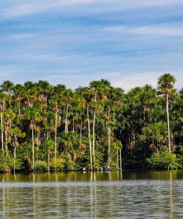 4D3N • 4-Day Tambopata Rainforest Adventure