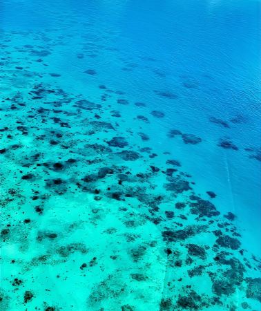 4D3N • Australia Cairns + Reef Magic Cruises + Rainforestation Nature Park