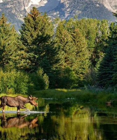 10D9N • Los Angeles + Yellowstone National Park + Salt Lake City + Highway 1, California + San Francisco