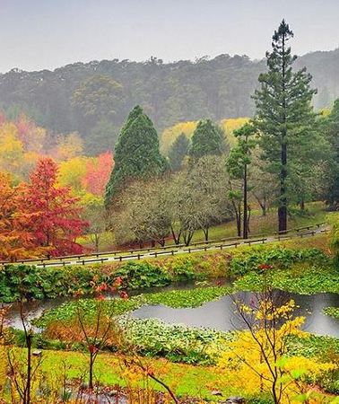6D5N • 6 Days Kangaroo Island & Adelaide Shared Tour