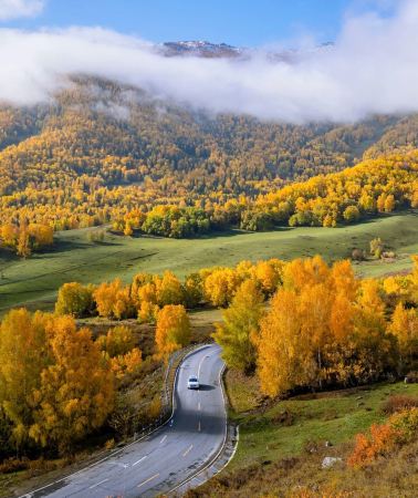 8D7N • Wonderland of Northern Xinjiang: Altay Forests & Sayram Blue Lake