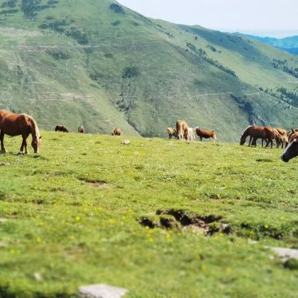 山西五台山3日2晚私家团
