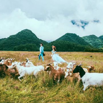 神农架+武当山风景区5日4晚跟团游