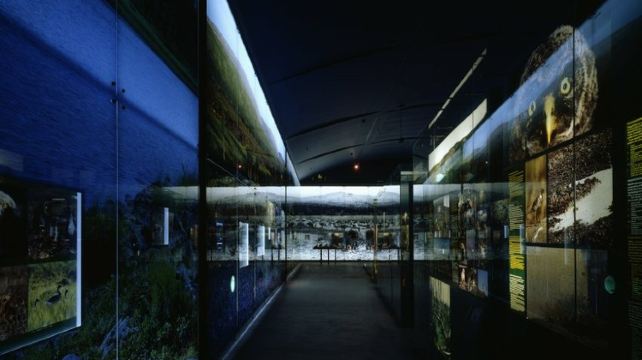 赫尔辛基、凯米、OULU+5