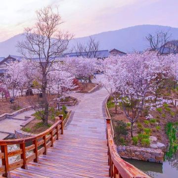 南京+无锡+苏州+乌镇+杭州6日5晚私家团