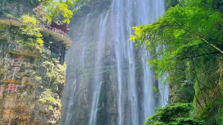 朝天吼漂流+三峡大瀑布2日1晚跟团游·【OMG太好玩了•够胆你就来】湿身穿越大瀑布，纯玩无套路，赠防水袋+漂流鞋洞洞鞋「老牌店铺•行程有保障」夏日刺激湿身体验，避暑推荐•武汉动车出发